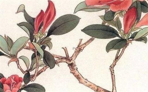 十二生肖六沖格局 十二生肖六沖是什么