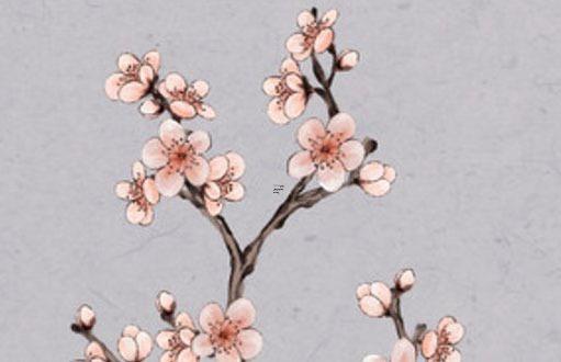白羊座什么運(yùn)勢(shì) 白羊座的運(yùn)勢(shì)最好的星座