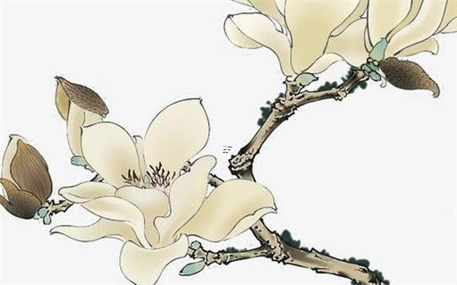 十二星座本月運(yùn)勢(shì) 12星座本月運(yùn)勢(shì)大解析