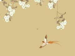 虎年是哪年屬虎的年份 虎年是何年