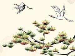 屬龍的5天后運勢 屬龍最近運氣如何