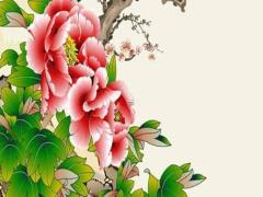 生辰八字中的天羅地網是什么 生辰八字帶天羅地網是什么意思