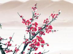 避開煞豬2025年3月求醫日子每日宜忌 2025年最精準老黃歷