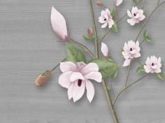 什么時(shí)候懷孕可以生虎寶寶 什么時(shí)候懷孕才能生虎寶寶