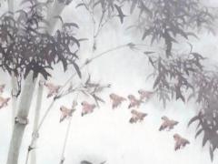 白羊女渣你的表現 白羊女真渣