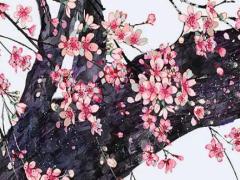 八八年屬什么今年多大年齡 八八年的屬相是什么
