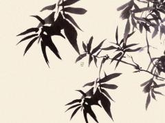 避開破虎2025年3月掛牌日子每日宜忌 2025年最精準(zhǔn)老黃歷