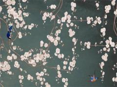 避開沖馬2025年3月入伙最佳吉日 2025年喬遷黃道吉日沖屬相