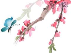 2025年3月拆房婚禮擇日有哪幾天 2025年3月拆房黃道吉日是哪一天