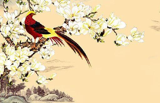 明年屬龍佩戴什么可以好運(yùn),今年屬龍的要佩戴什么比較好