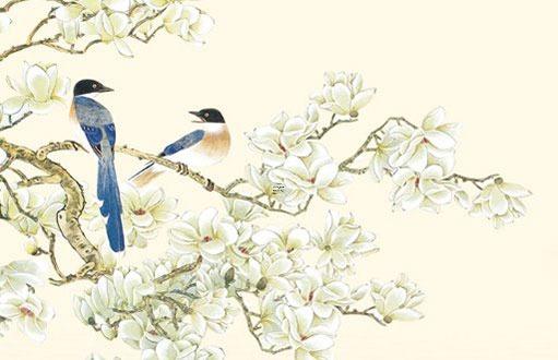 屬兔女本命年佩戴什么最好招財運(yùn),屬兔本命年戴什么首飾好