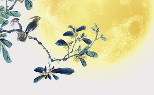 金牛座的靈魂很有趣 金牛座的靈魂星座是誰