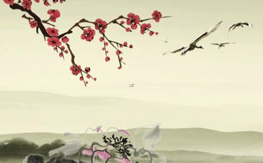 屬虎幾幾年生人 屬虎幾年生的