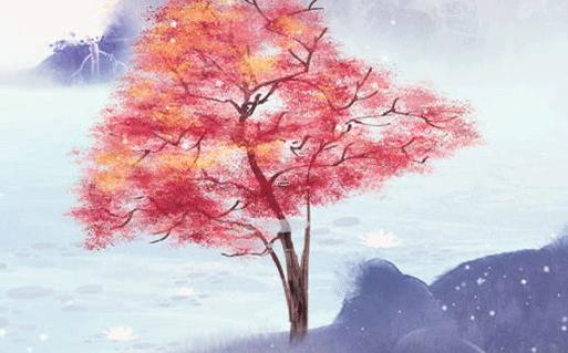 南紅的櫻桃紅是什么樣的紅,南紅櫻桃紅是哪里的料？