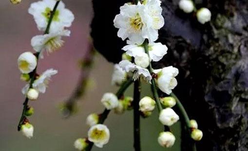 表達(dá)有緣的句子 有幸相遇 不負(fù)遇見(jiàn)的句子