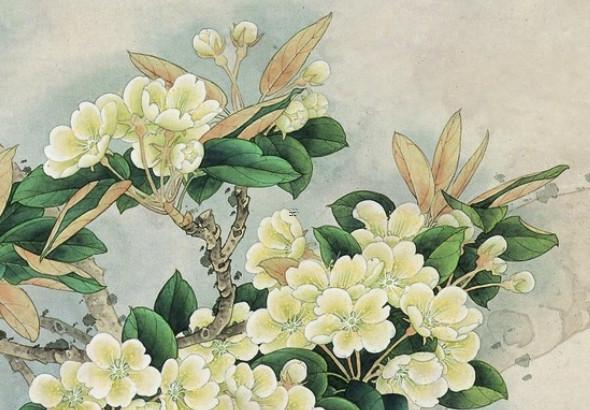 98年屬虎的注定婚姻 98屬虎哪一年會動婚