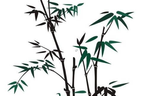 屬羊和屬豬的合得來嗎 屬羊和屬豬的相合嗎