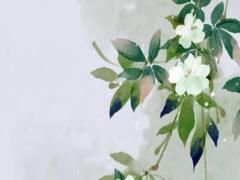 求算婚姻合不合 婚姻算命合婚
