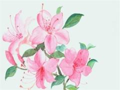 鼠兔相刑對雙方都不好嗎 鼠兔相刑啥意思