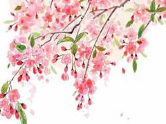 八字水木分野是什么意思 八字木水木格局好不好