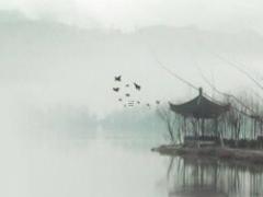 算命網免費算命婚姻最新章節在線閱讀 大全婚姻姓名