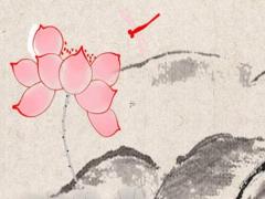 兔本命年的運氣為什么差那么多呢,屬兔本命年不能結婚嗎