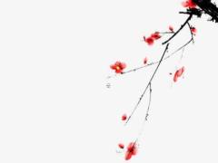 八字分析幾種常見的合婚方法 八字合婚是怎樣合的