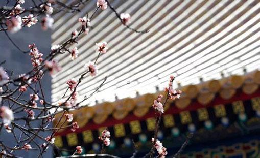 2025年5月適宜理發(fā)的吉日推薦