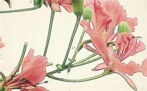 算命的說我是皇太子命什么意思 皇太子自稱