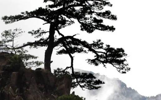 2025年五月遷墳吉日推薦 哪天最好