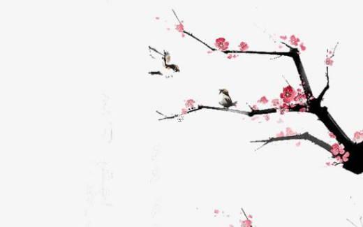 女人有八字紋怎么辦 女生八字紋是什么寓意