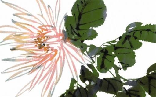屬兔本命年戴老虎好不好,本命年兔戴什么轉(zhuǎn)運(yùn)
