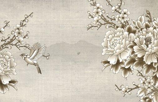 喜水木去哪個方向發展,喜水木去哪個城市