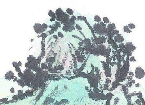 屬虎本命年戴什么生肖,屬虎本命年戴什么生肖飾品