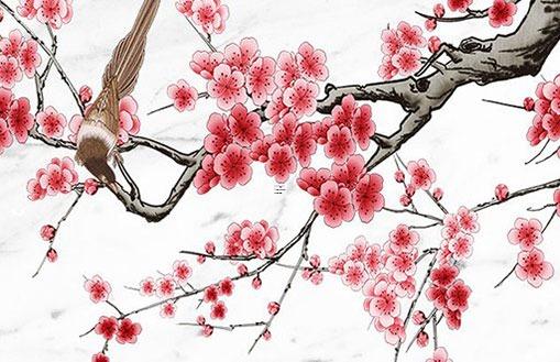 整整828天！杭州保姆縱 杭州保姆最新進展