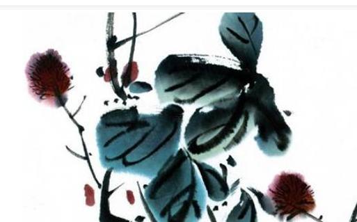 屬兔的本命年是什么生肖呢,兔的本命年好不好