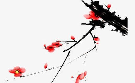11月17日生日花：蘋果花 11月17日生日花語