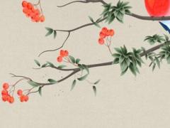 本命年兔女需要注意戴什么首飾,本命年屬兔戴什么生肖