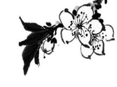 招財名字女名 好聽招財的名字女