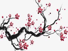 2025年5月裝修房子最佳日子哪天好