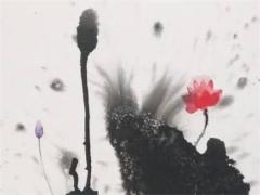 屬兔可以戴綠幽靈手鏈嗎,屬兔能戴綠松石嗎
