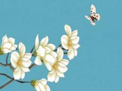適宜求財?shù)募?2025年5月屬相分析
