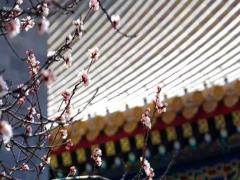 2025年5月適宜理發的吉日推薦