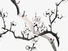 子時不算命楊森批八字 子時不算卦的說法與講究