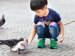 孕婦夢到被狗咬