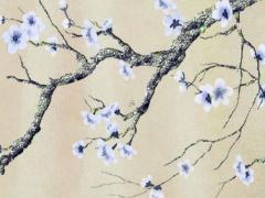 屬兔的人本命年送他什么好,屬兔的本命年穿什么顏色好