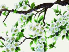 生辰八字算命理缺什么意思 測算八字缺什么
