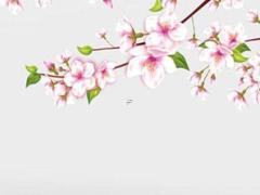 2025年5月的最佳日子查詢 哪天適合舉辦宴會