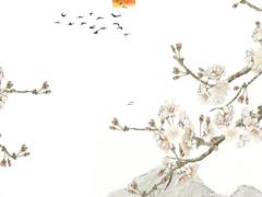 2025年5月結婚最佳日子測算與吉日查詢