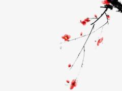 算命的雙馬日是什么意思 雙馬命格是什么意思